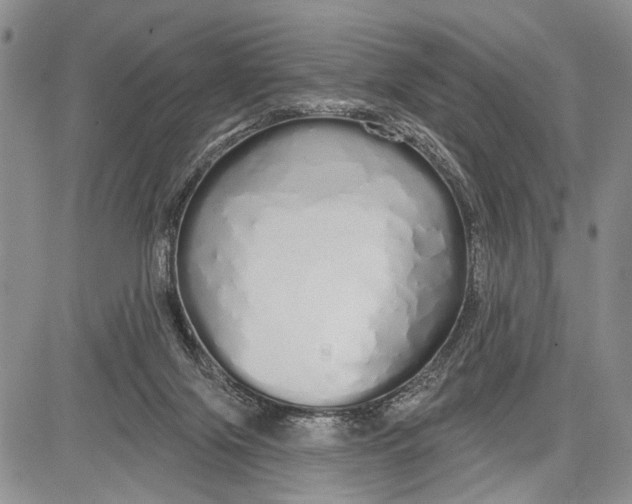 X0000081600071200702051340