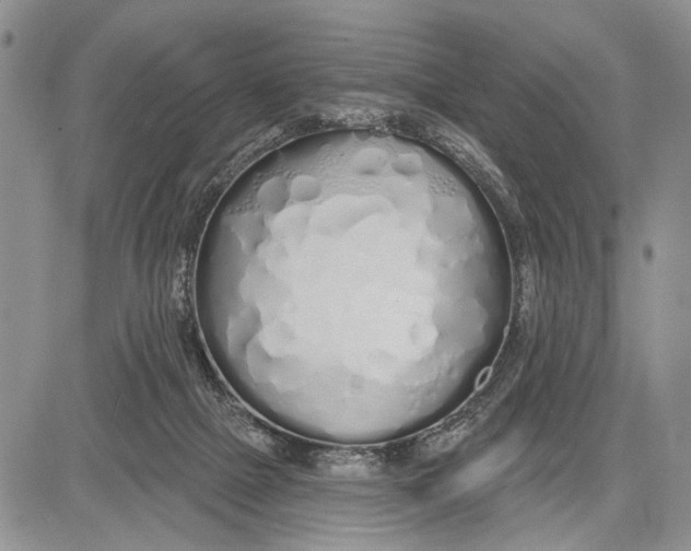 X0000081600073200702051340