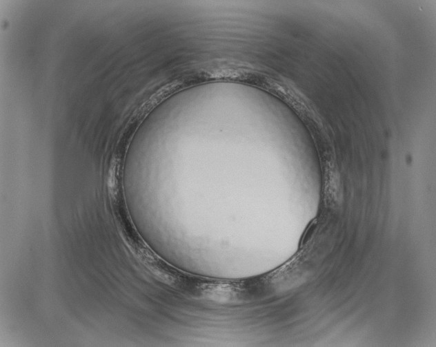 X0000081600074200702051340