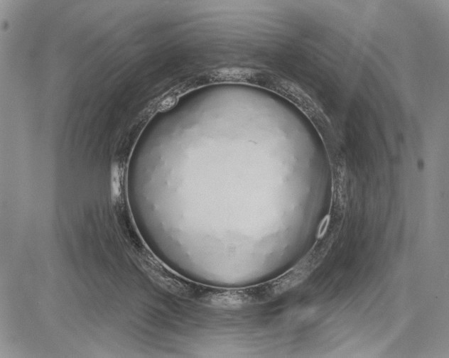 X0000081600075200702051340