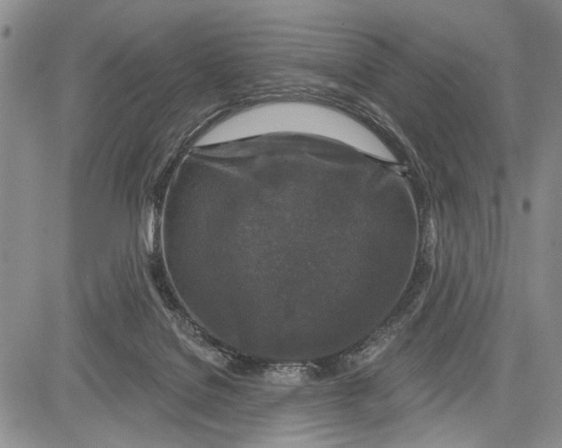 X0000081600076200702051340