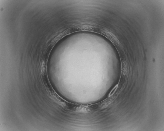 X0000081600077200702051340