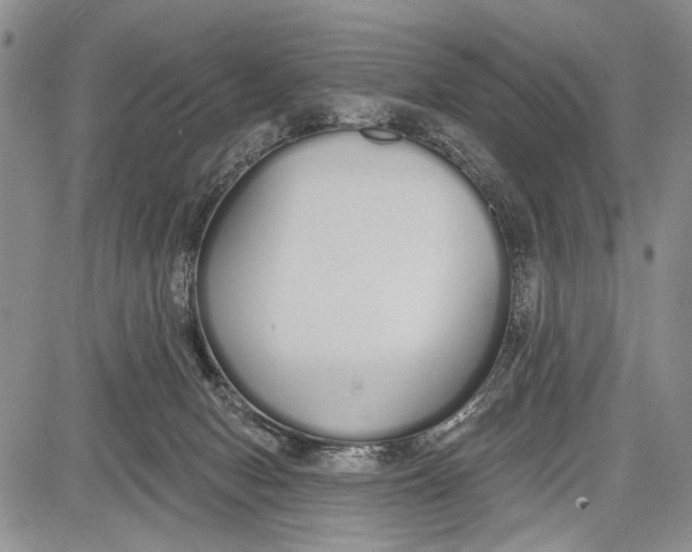 X0000081600078200702051340