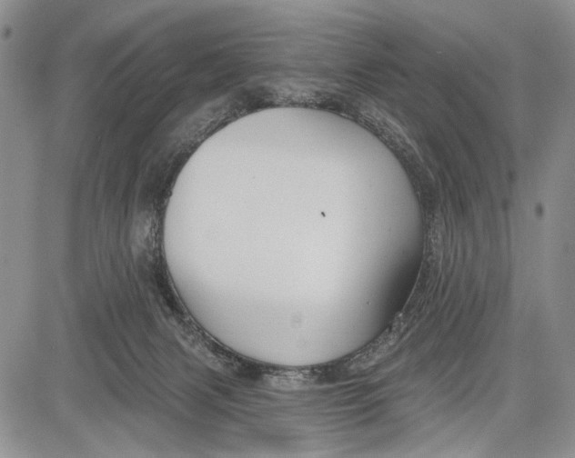 X0000081600079200702051340