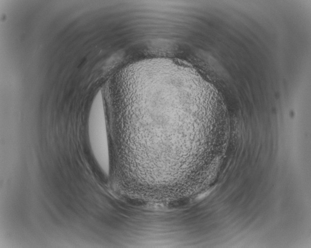 X0000081600080200702051340