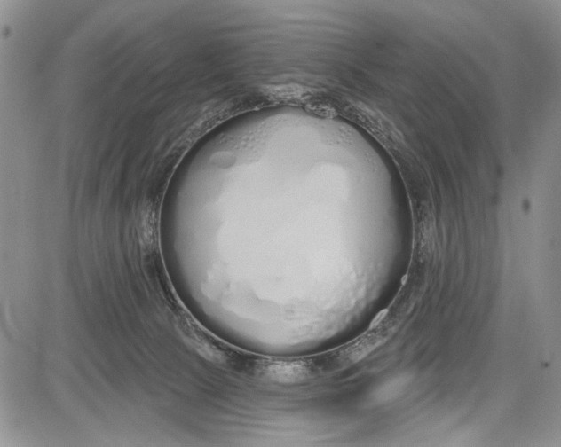 X0000081600081200702051340