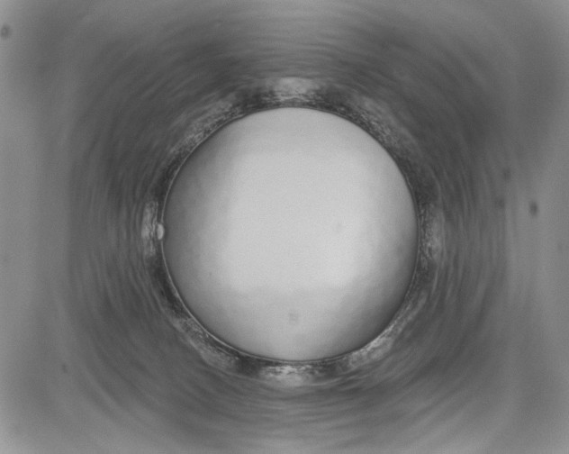 X0000081600082200702051340