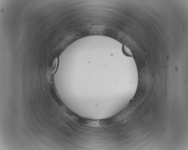 X0000081600083200702051340