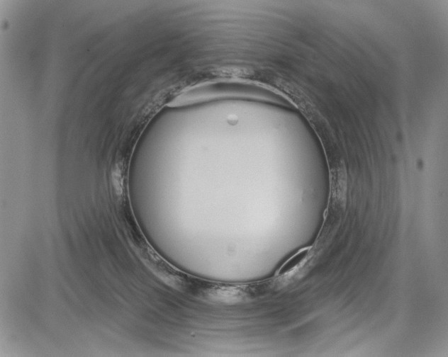 X0000081600086200702051340