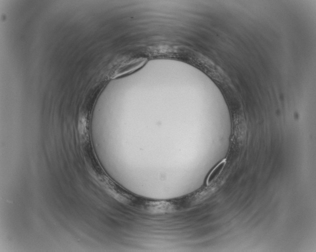 X0000081600087200702051340