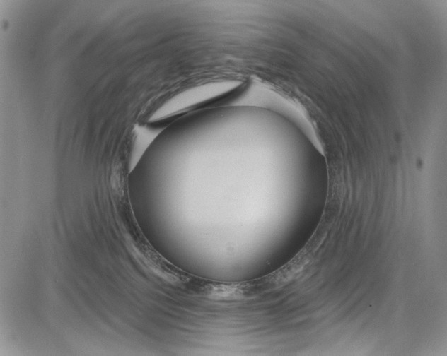 X0000081600088200702051340