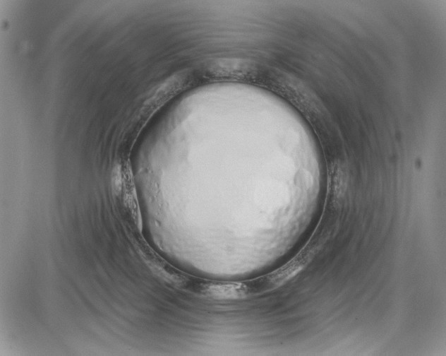 X0000081600089200702051340