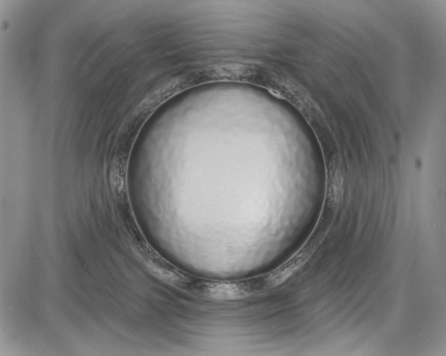 X0000081600091200702051340