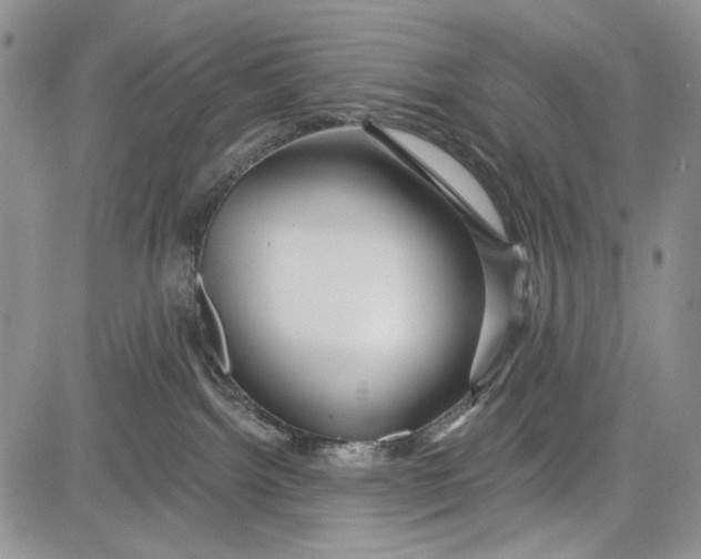 X0000081600092200702051340