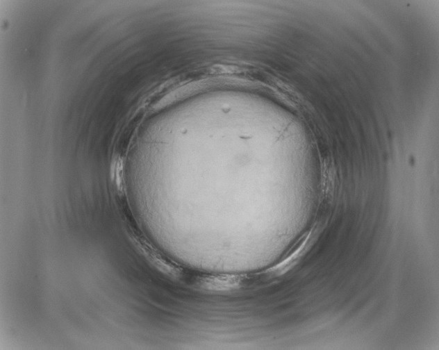 X0000081600094200702051340