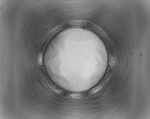 X0000081600095200702051340