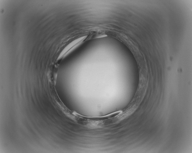 X0000081600096200702051340