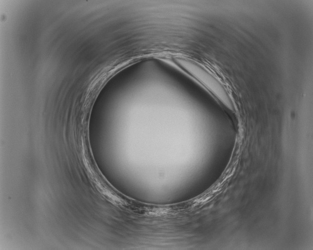 X0000081600097200702051339