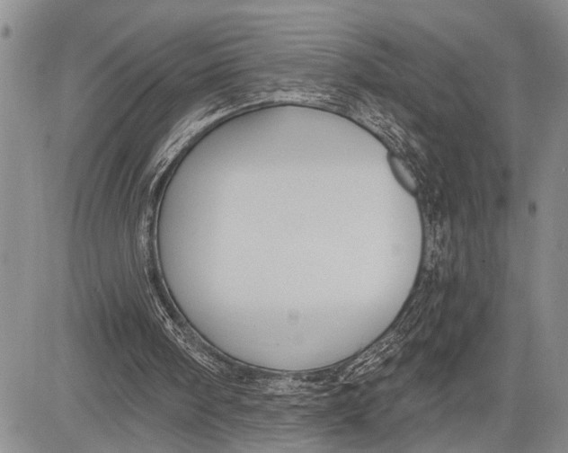 X0000081600098200702051339