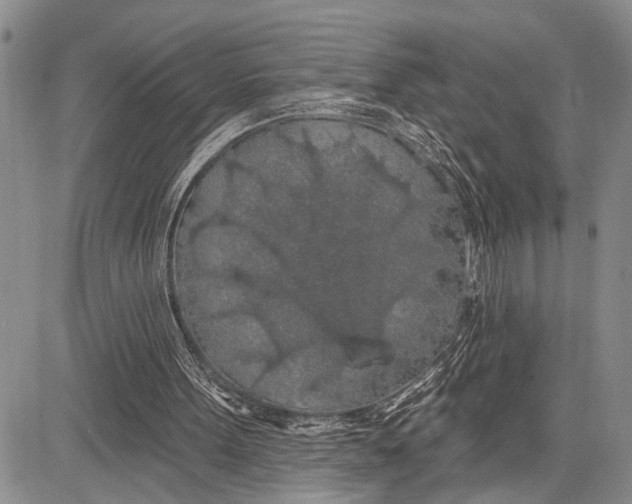 X0000081600099200702051339