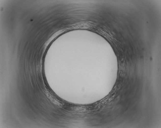 X0000081600100200702051339