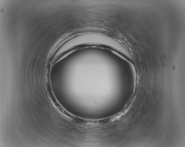 X0000081600101200702051339