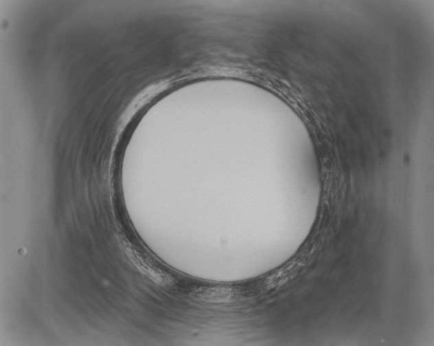 X0000081600104200702051339