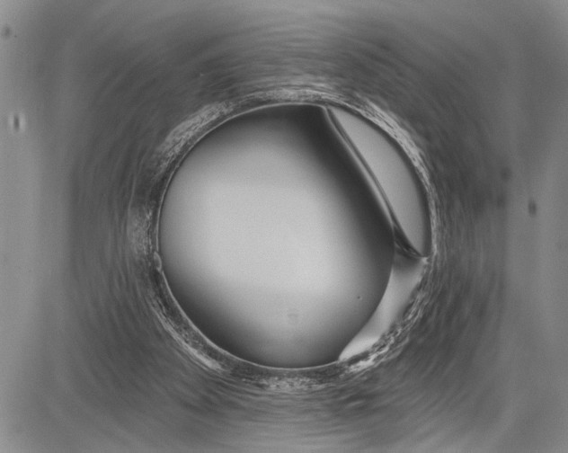 X0000081600105200702051339