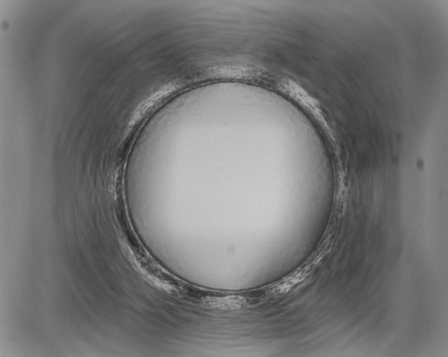 X0000081600106200702051339