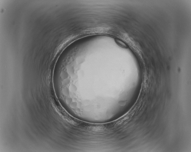 X0000081600107200702051339