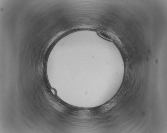 X0000081600108200702051339