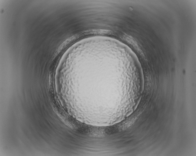 X0000081600110200702051339