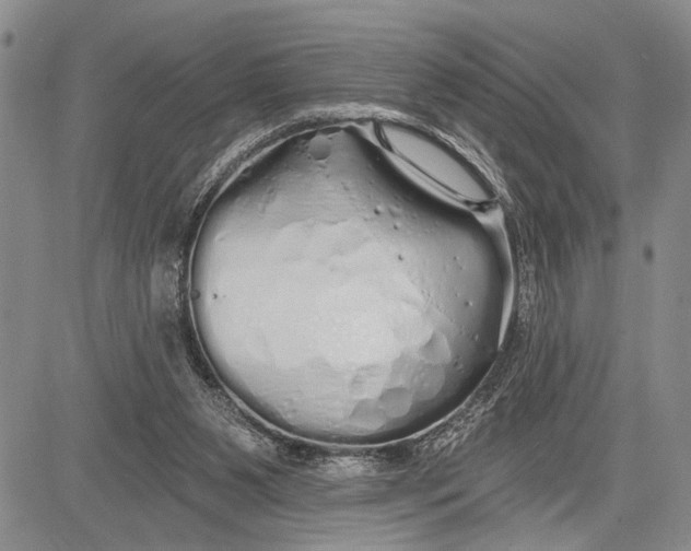 X0000081600111200702051339