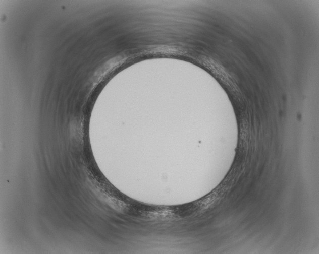 X0000081600112200702051339