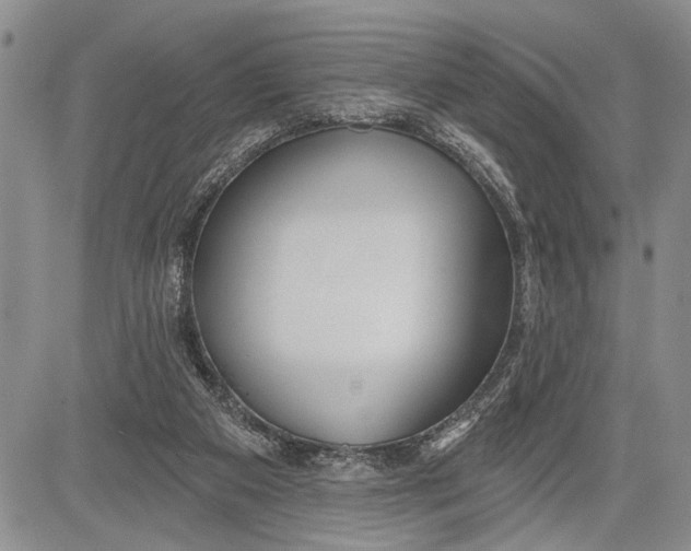 X0000081600113200702051339