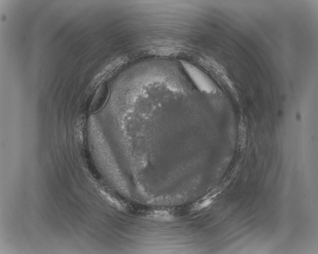 X0000081600114200702051339