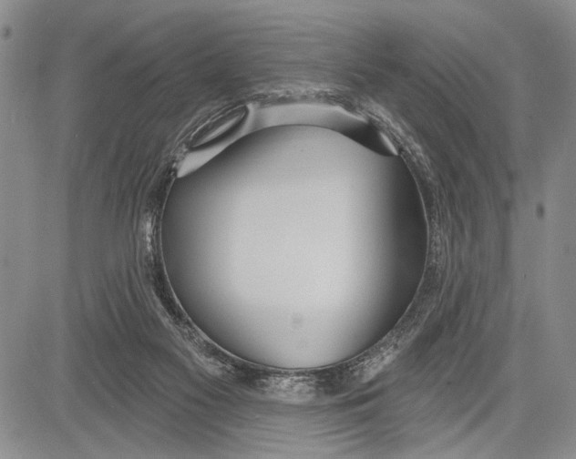 X0000081600117200702051339