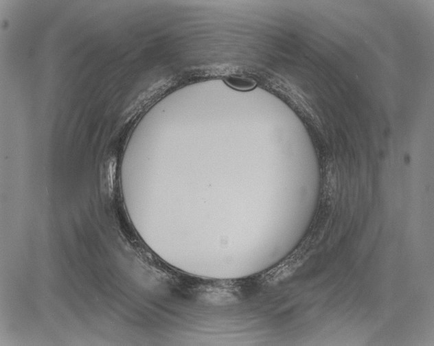 X0000081600118200702051339