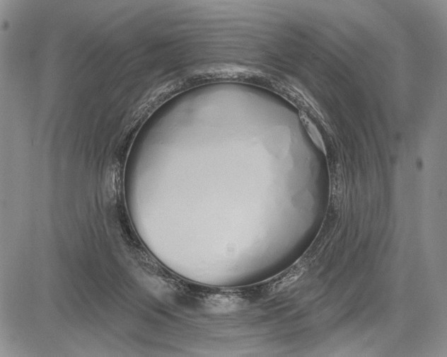 X0000081600119200702051339