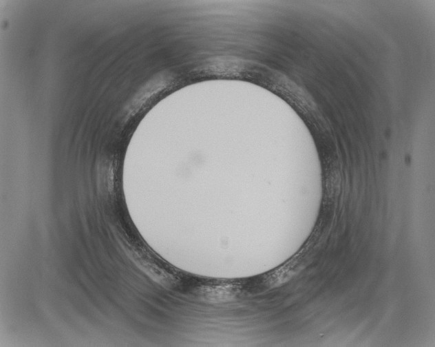 X0000081600120200702051339