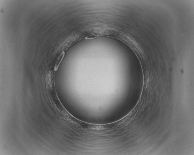 X0000081600121200702051339