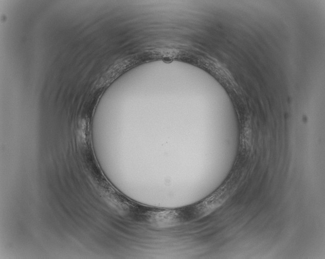 X0000081600122200702051339