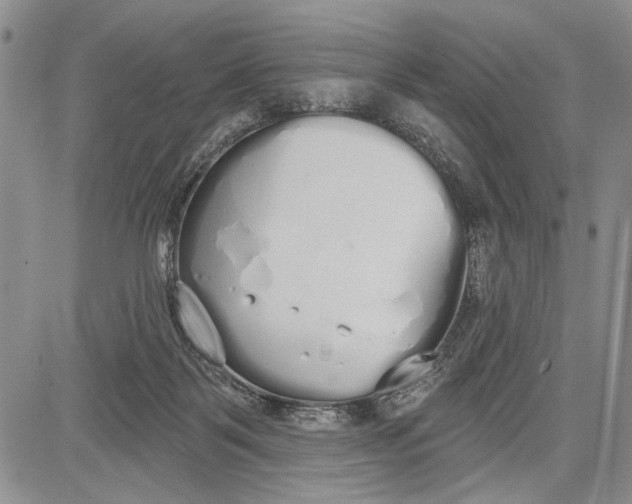 X0000081600123200702051339