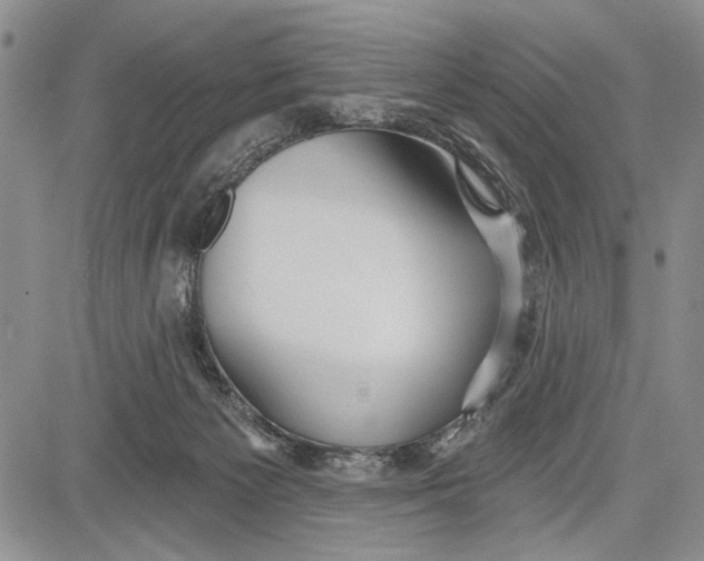 X0000081600125200702051339