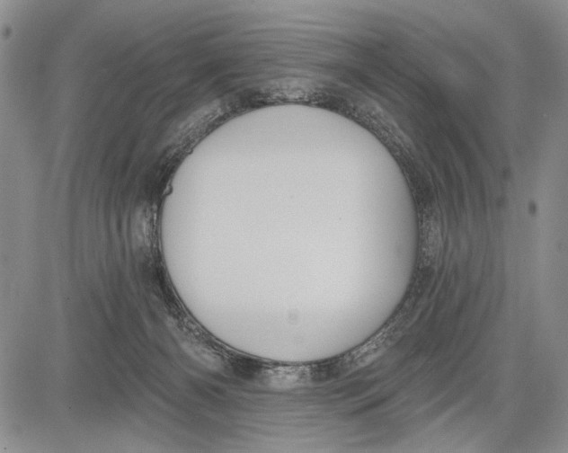 X0000081600126200702051339