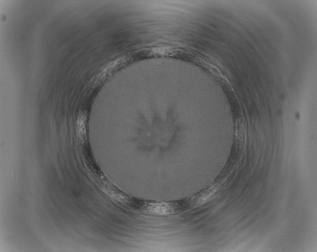 X0000081600127200702051339