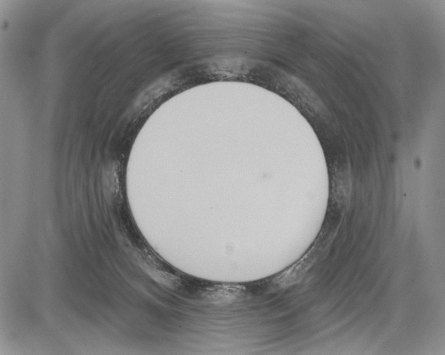 X0000081600128200702051339