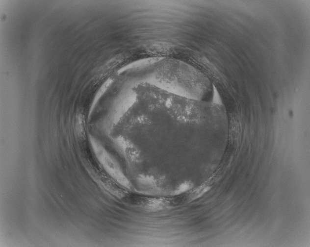 X0000081600130200702051339