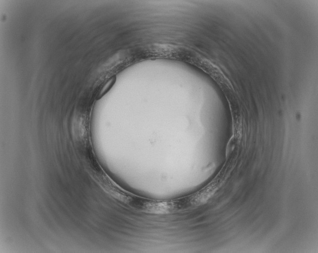 X0000081600131200702051339