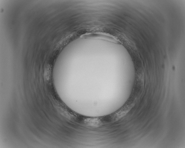 X0000081600133200702051339